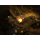 BLIZZARD Diablo III PC - 105149 - zdjęcie 7
